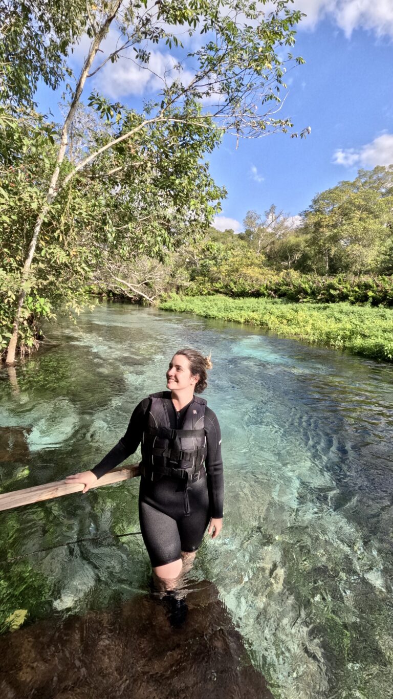 bonito