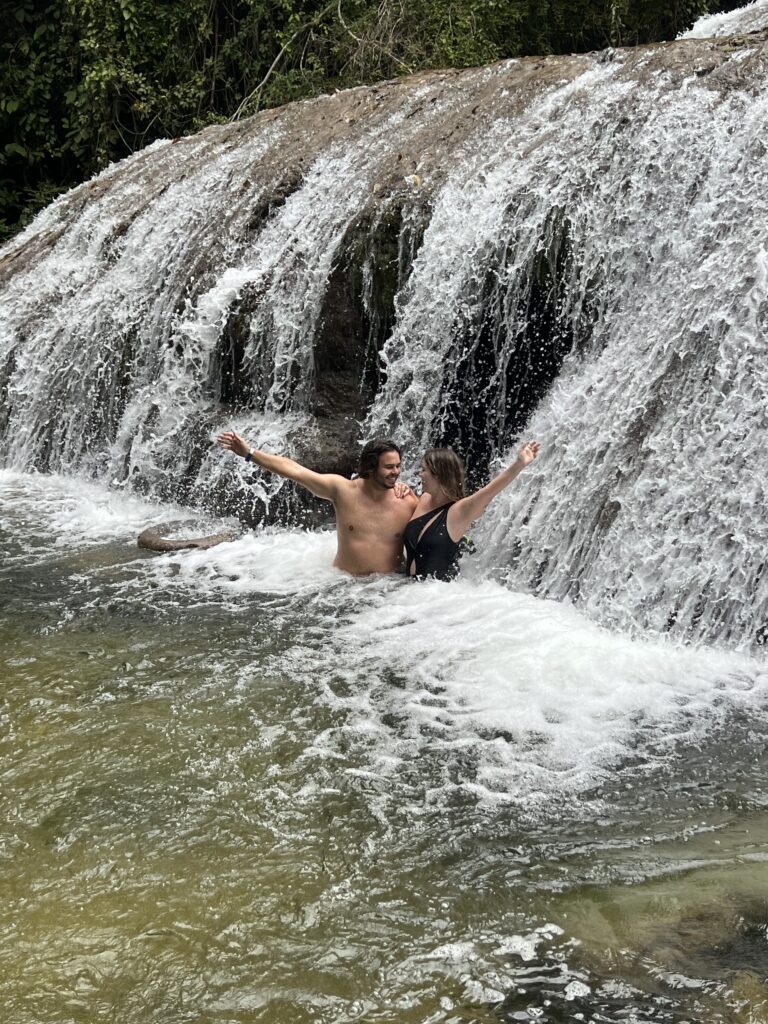 bonito