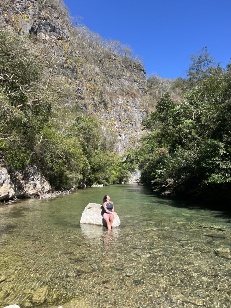 bonito