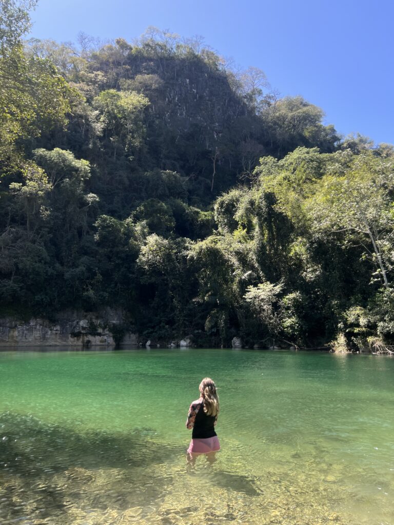 bonito
