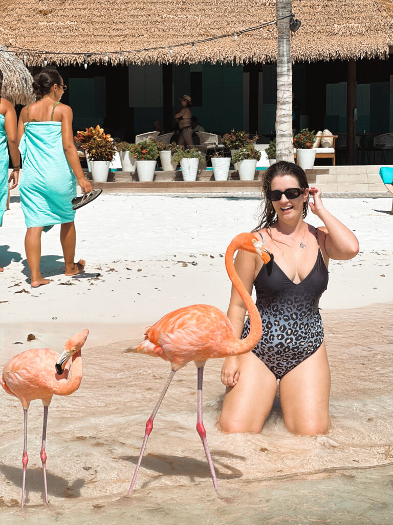 aruba