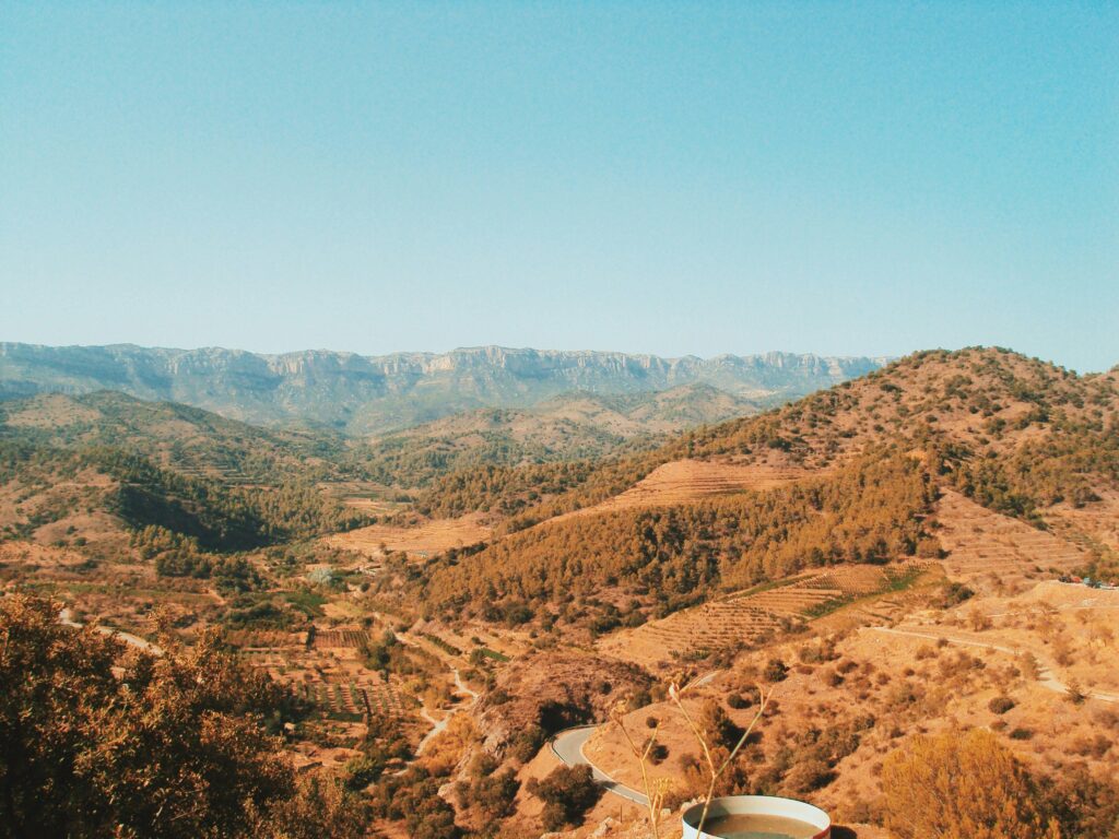 enoturismo